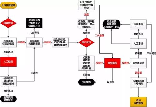 抖音直播代運營主要工作內(nèi)容,深圳抖音代運營哪家好？  第3張