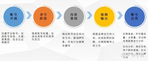 試分析抖音的運營管理模式(抖音認證-抖音企業(yè)認證、抖音運營、  第1張