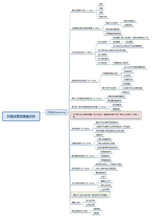 試分析抖音的運營管理模式(抖音認證-抖音企業(yè)認證、抖音運營、  第2張