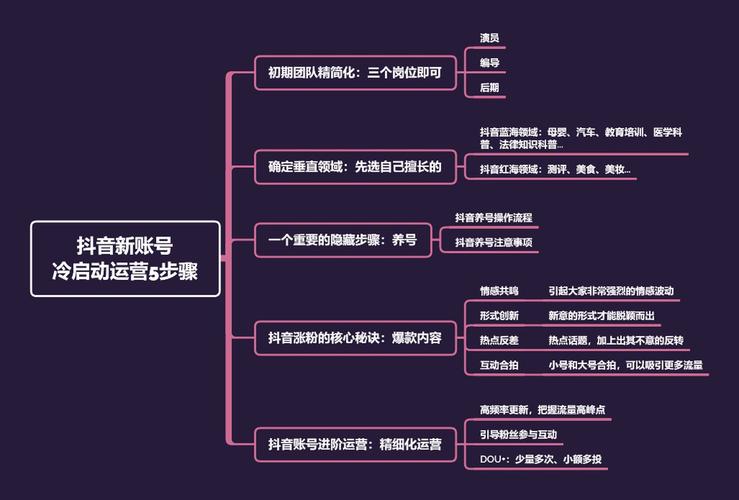 抖音團隊運營多少錢,抖音代運營報價一般都多少錢？  第1張