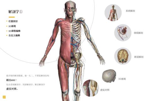 虛擬人體解剖臺(tái),立體全身解剖模擬器  第2張