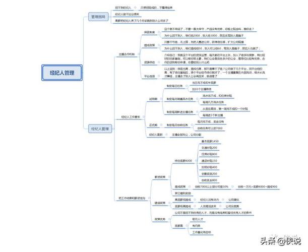 抖音品牌店鋪直播代運(yùn)營(yíng)方案,抖音運(yùn)營(yíng)代理(抖音直播代理加盟)  第4張