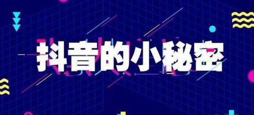 抖音直播帶貨代運營,抖音直播帶貨代運營大概多少錢一個月(抖音直播帶貨賺多少)  第3張