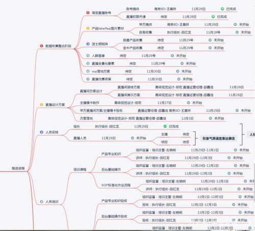 直播代運(yùn)營銷售策劃書范文,電商直播策劃書(直播電商營銷策劃方案)  第2張