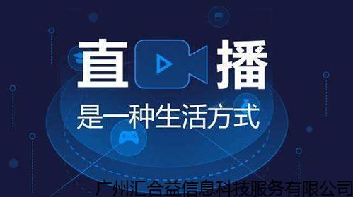 直播小視頻代運營,代直播業(yè)務(wù)(直播代運營是做什么的)  第3張